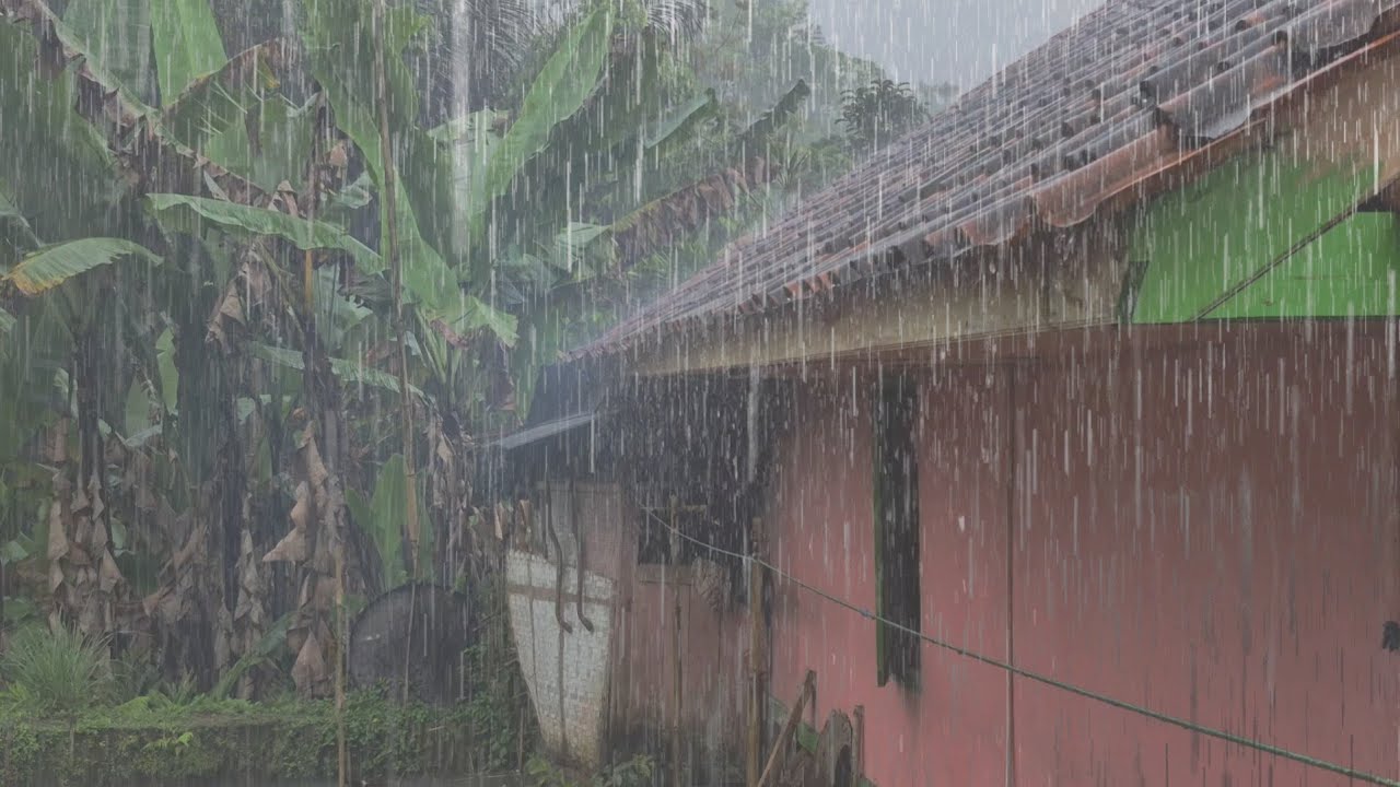 Forget about the anxiety in your mind by relaxing while listening to the sound of rain insomnia 