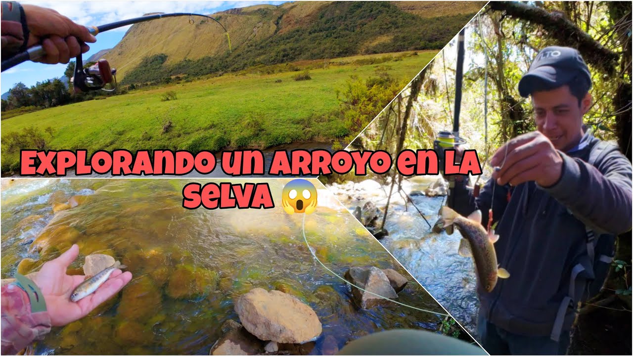 ¡Aventura y Pesca! Explorando un Arroyo Desconocido en la Selva, Naturaleza Pura y Pesca Inesperada🎣