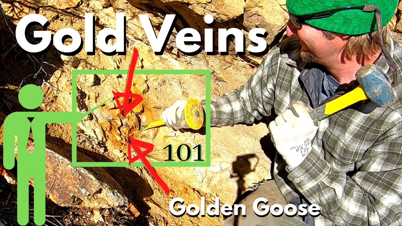 Hard Rock GOLD MINING BASICS - BIG GOLD DEPOSIT - Mother Lode Gold Prospecting for Gold Ore!