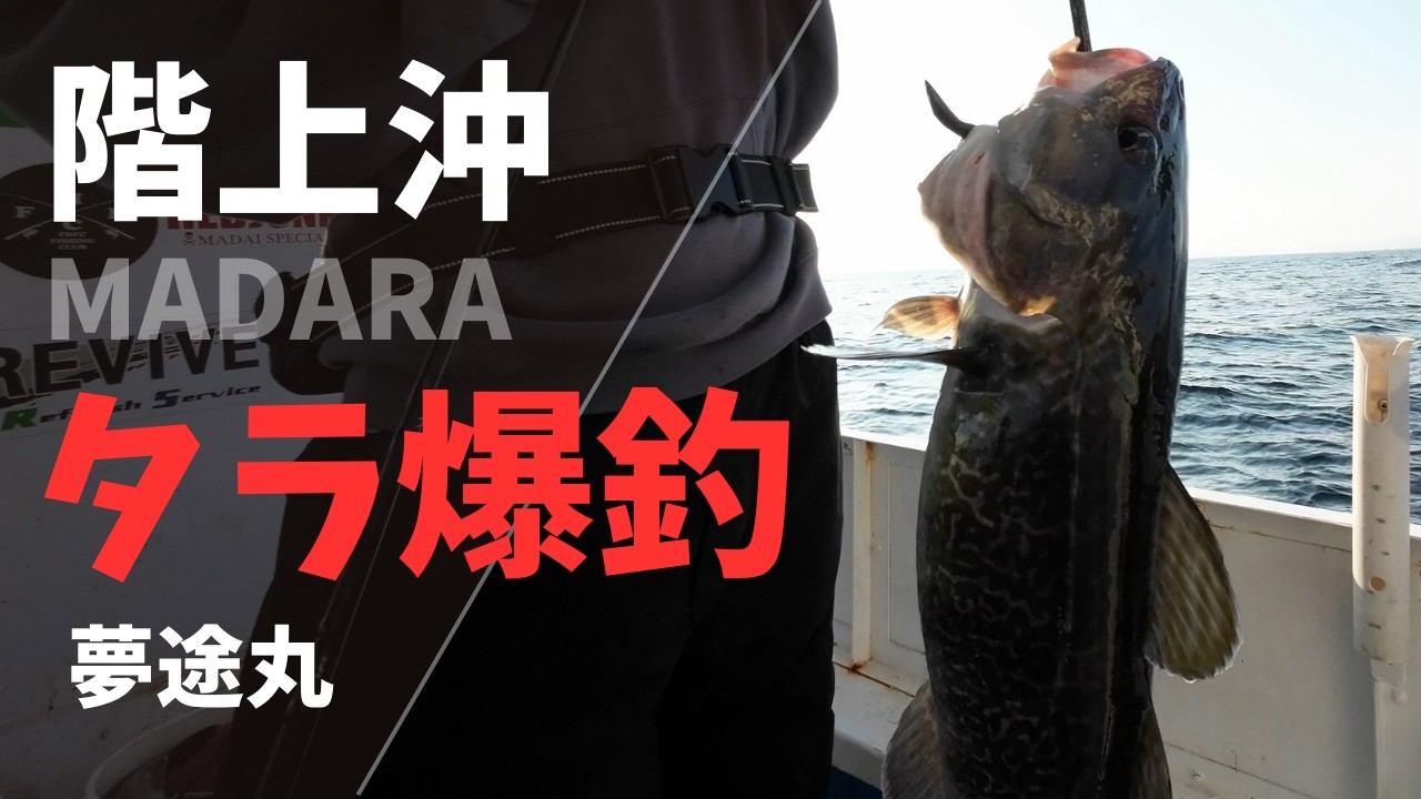【青森・階上沖】夢途丸で挑む真冬のタラジギング！良型連発！？
