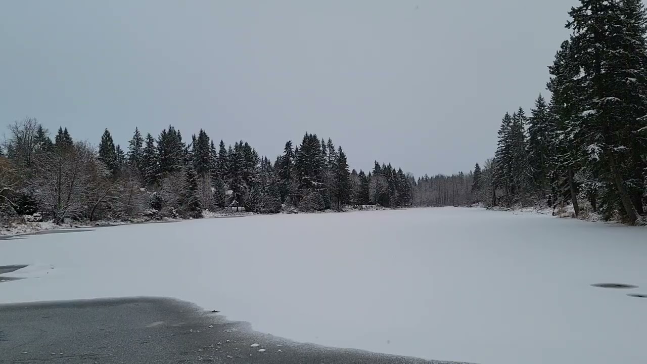 Frozen Welcome Lake December 2021: Washington Winter Wonderland