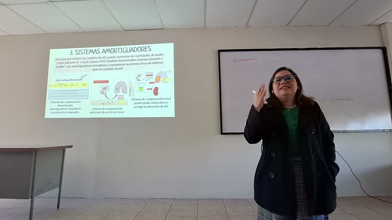 Ph 2 - amortiguadores