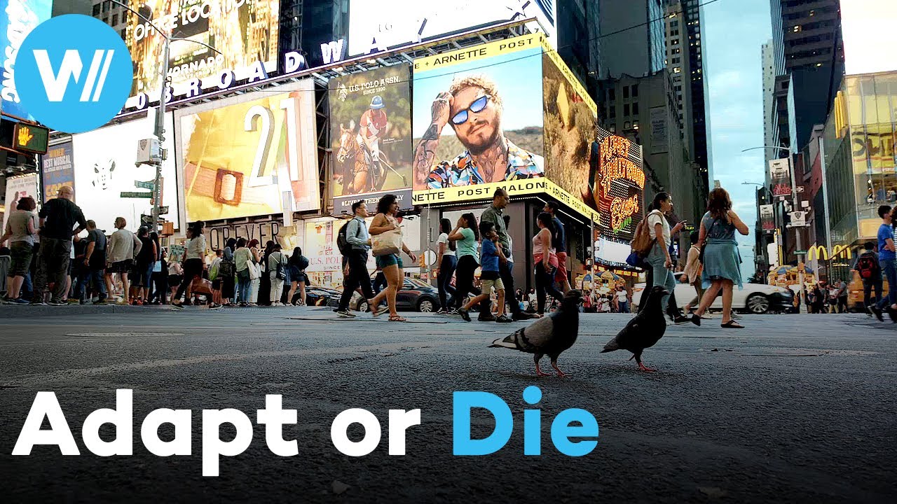 Urban Evolution: How Times Square Proves Darwin's Survival of the Fittest (Documentary, 2020)