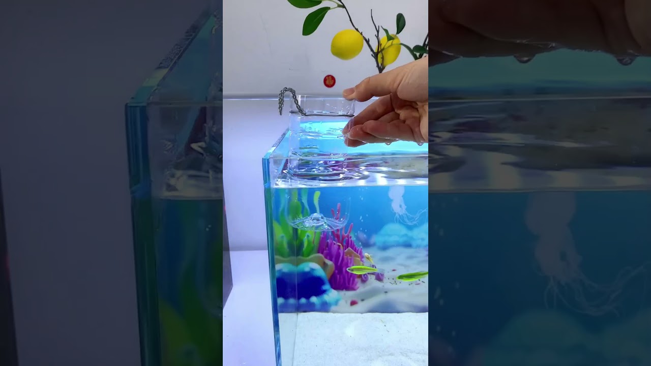 Fish Feeder 
