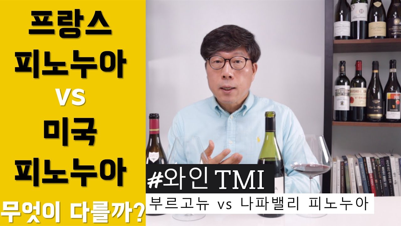 [와인TMI] 프랑스 피노누아 vs 미국 피노누아 무엇이 다를까요? │ 김박사의와인랩