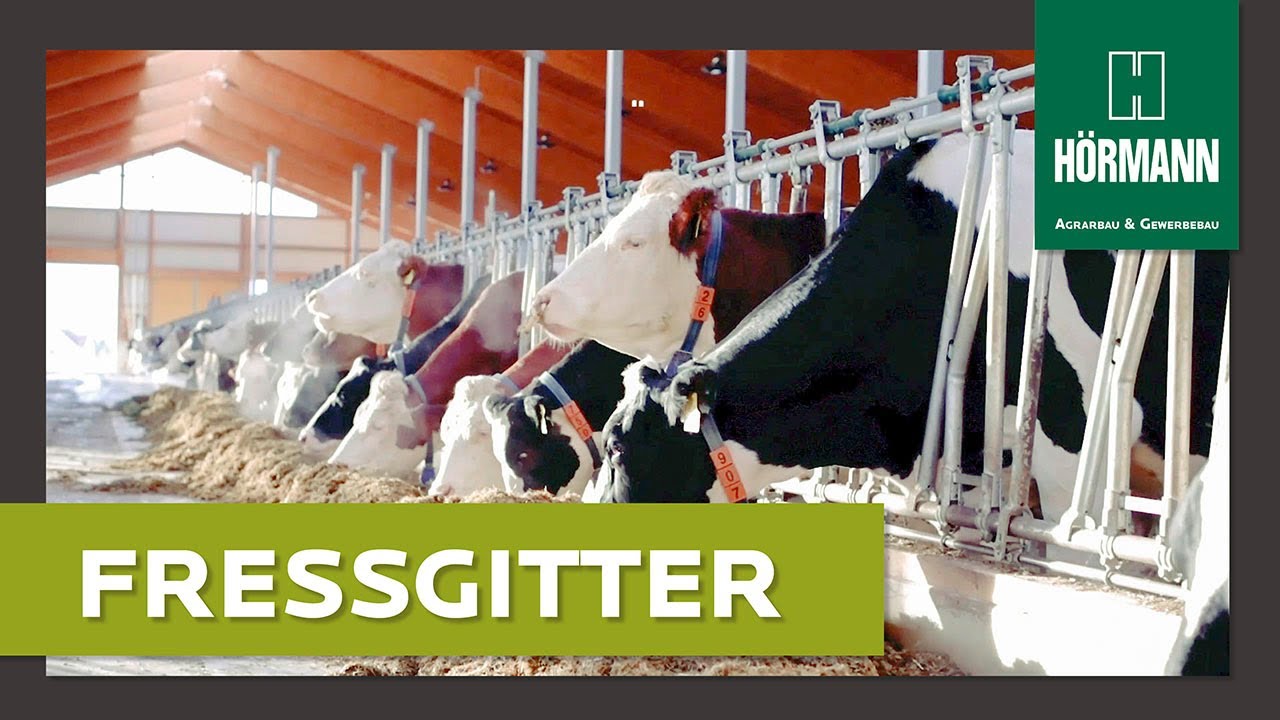 HÖRMANN - Sicherheits-Fressgitter mit Schwenksprosse für Rinder