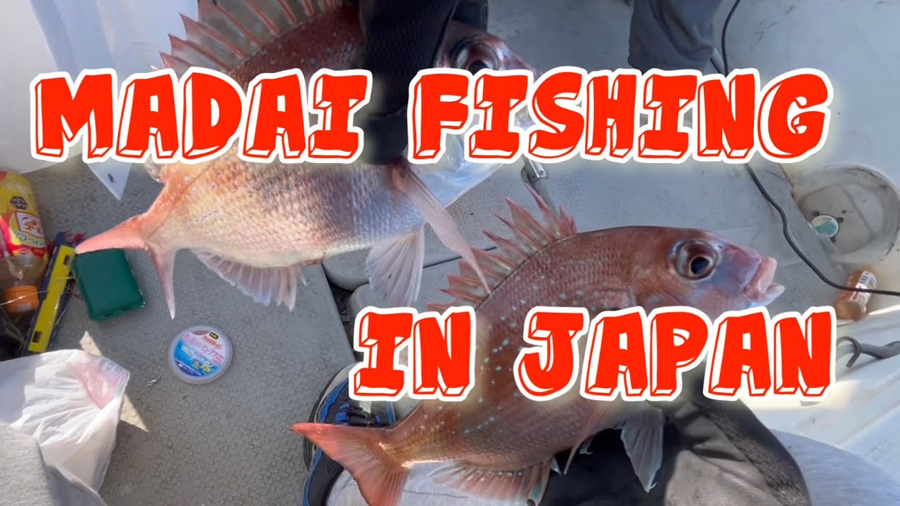 Sea Bream Fishing from a Boat | Japanese Tai Chokuri Style