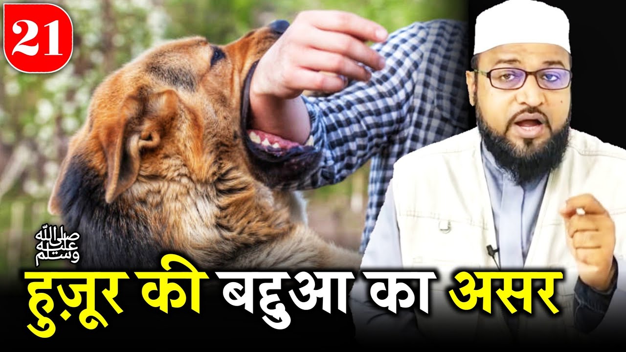 Hujurﷺ Ki Baddua Ka Asar |Only Mufti| maulana abdur rashid miftahi |miftahi channel|
