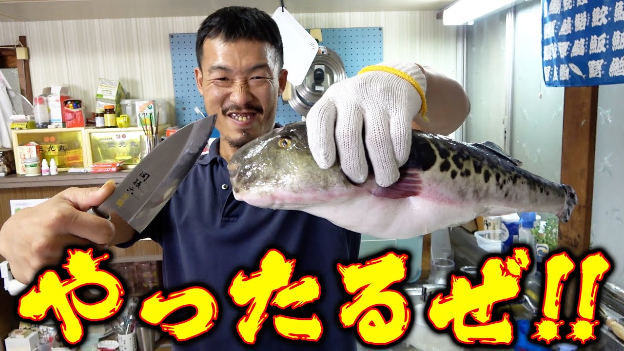 トラフグの神捌き！？解禁前にいただき物の2.5キロ巨大トラフグをひげの兄貴が捌いてみたらとんでもない一品が完成しました！