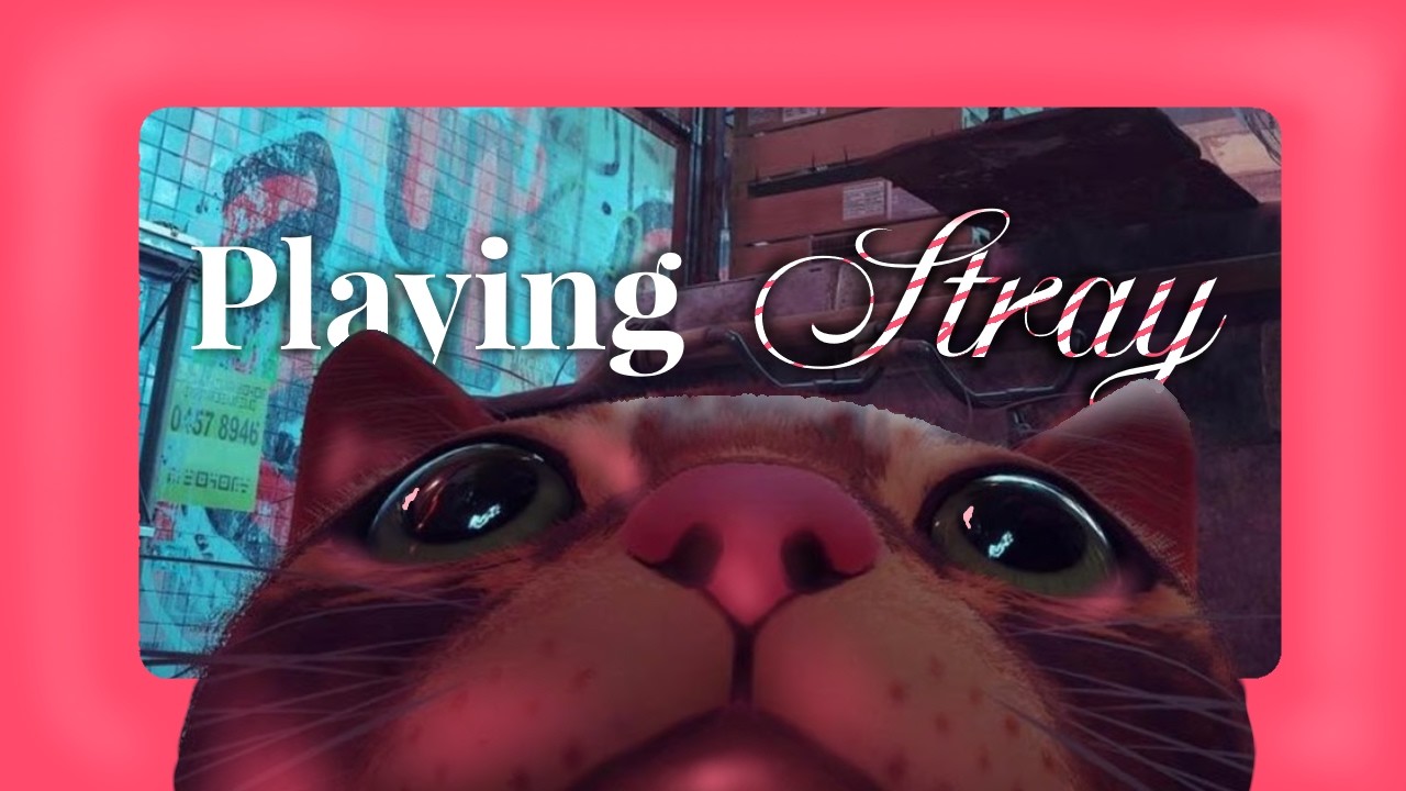 I Became a Cat in Stray for the First Time 🐈😶