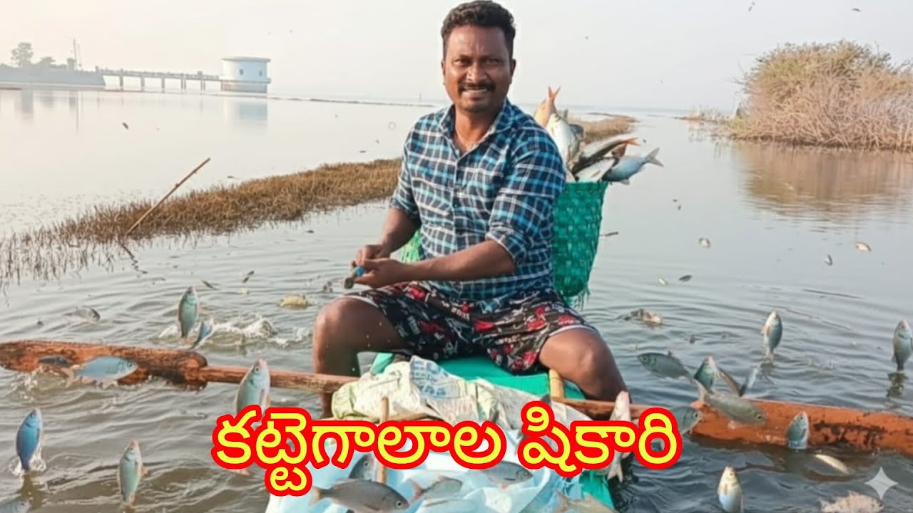 కట్టె గాలాల షికారి🐬yatala shankar volgs యాటల శంకర్ విషయం వీడియో🐟