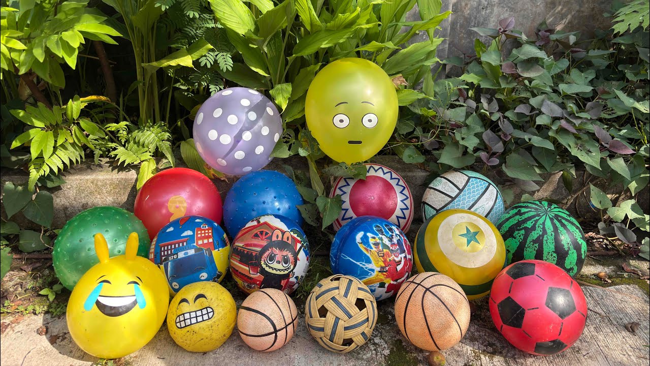 HUNTING BALON LUCU 🎈DAN BOLA BOLA 🏀⚽️🏐 484
