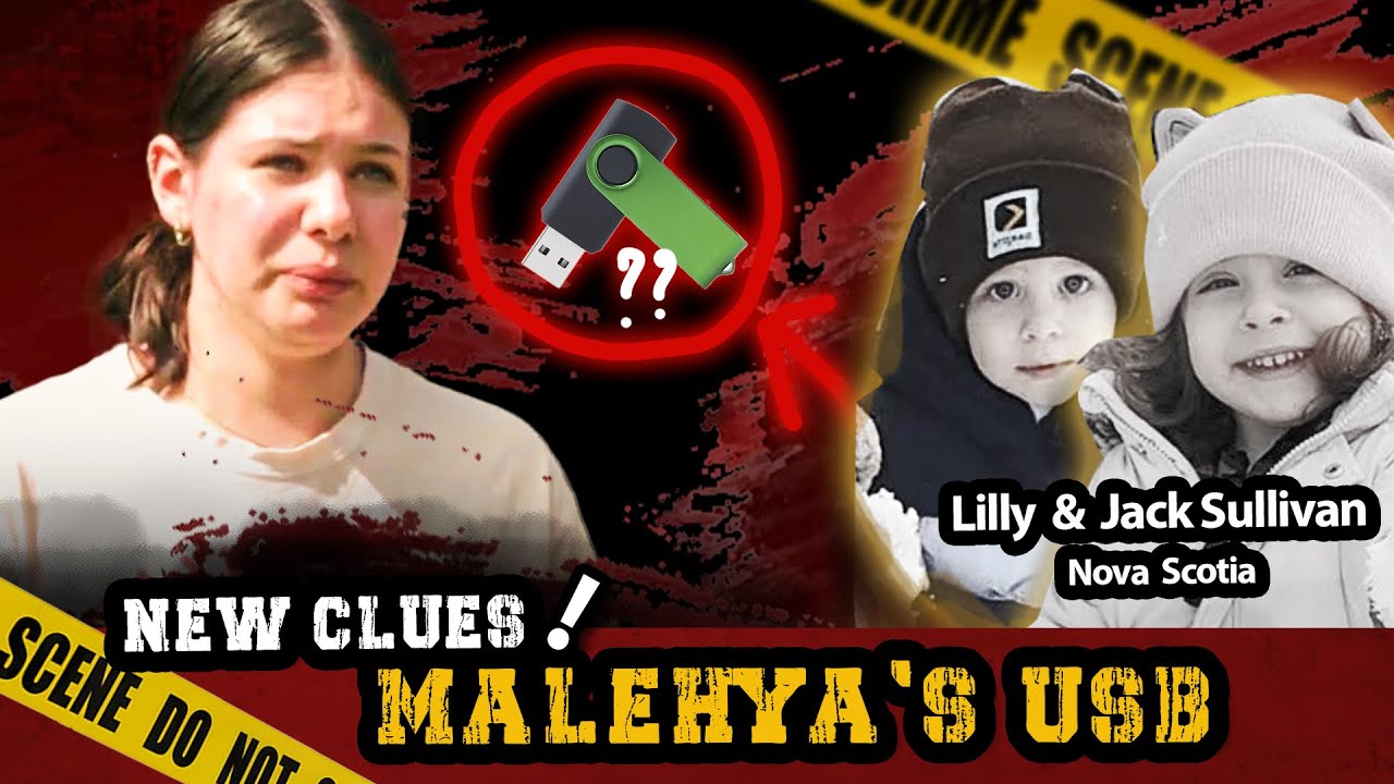 Шокирующие улики: USB-накопитель Малехьи и удалённое приложение TextPlus | Исчезновение Лилли и Д...