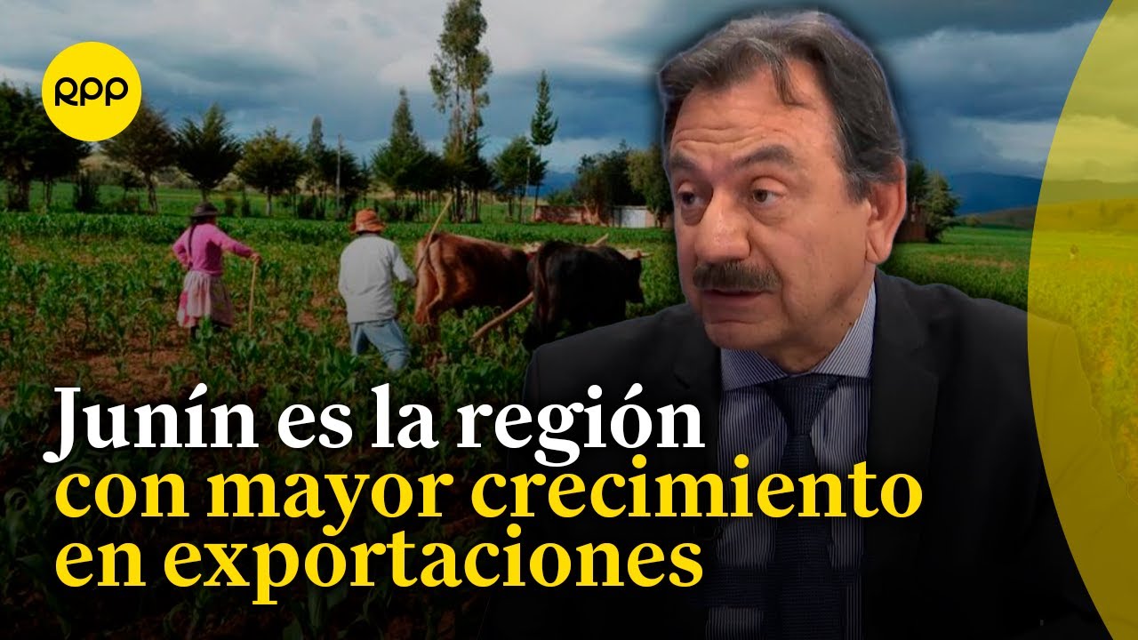 Perú se ubica en el primer puesto en producción de arándanos