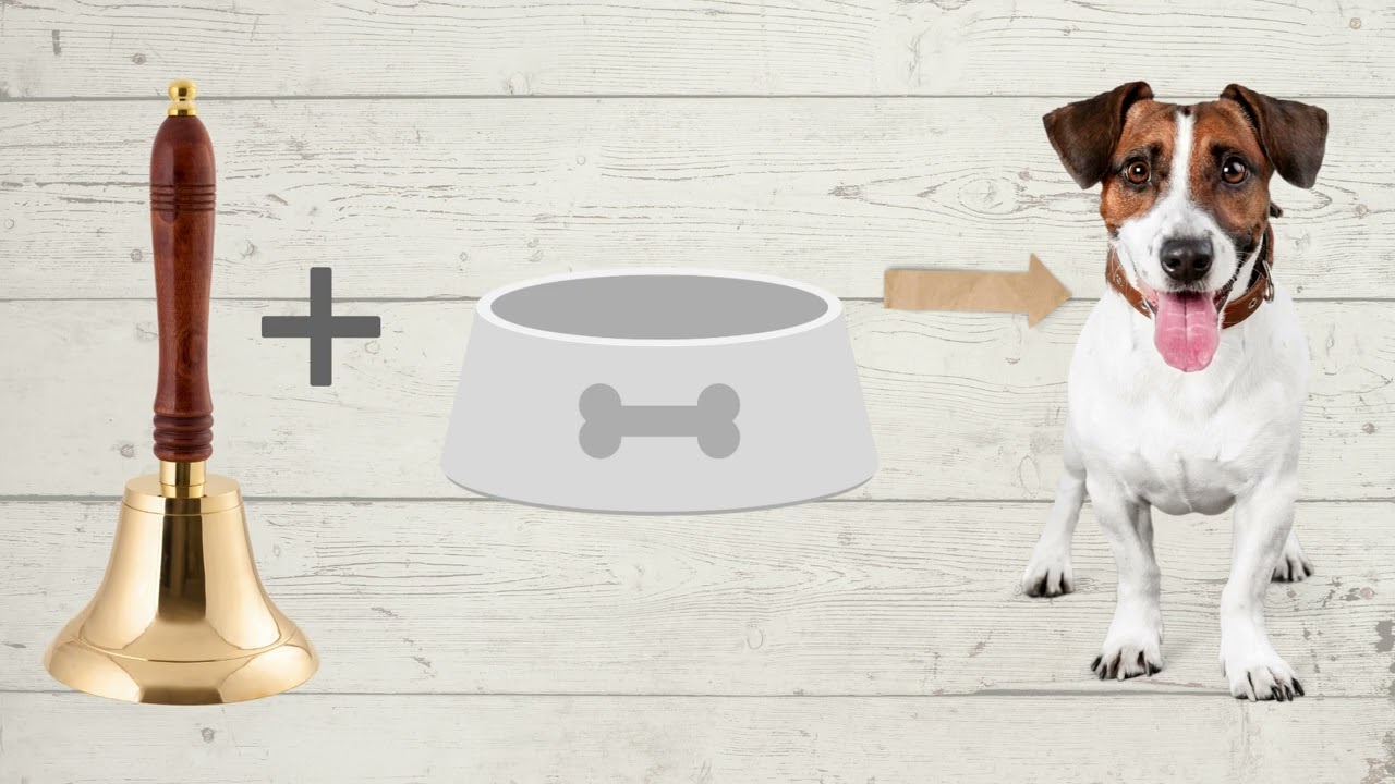 Classical Conditioning Explained
