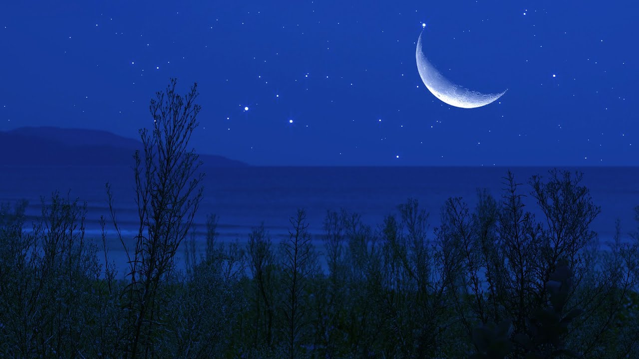 Crickets at the Beach | Binaural Nighttime Ambience | Nature Sounds for Relaxation & Sleep