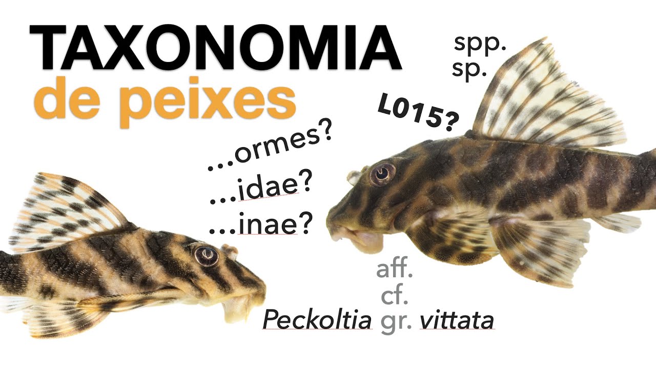 Introdução à taxonomia de peixes