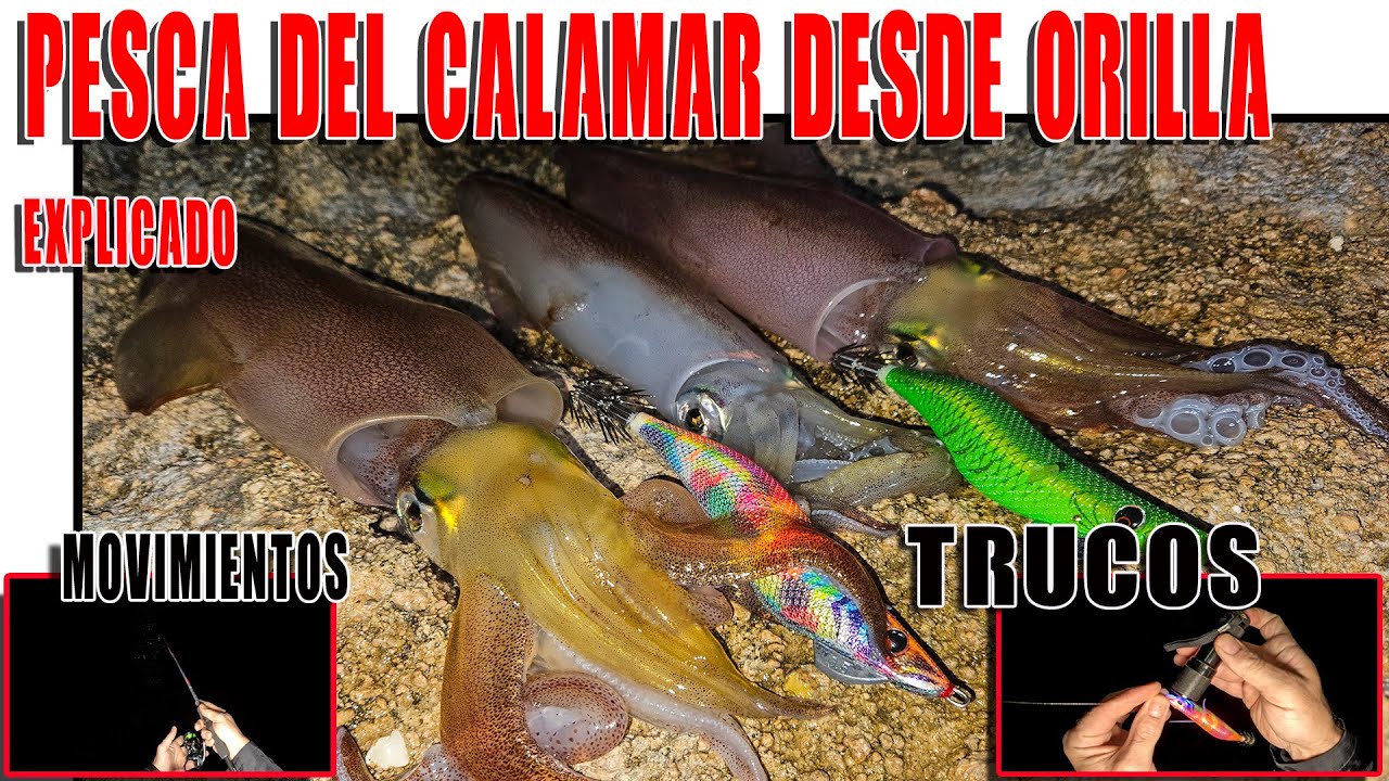 COMO PESCAR CALAMARES DESDE ORILLA EPISODIO 30