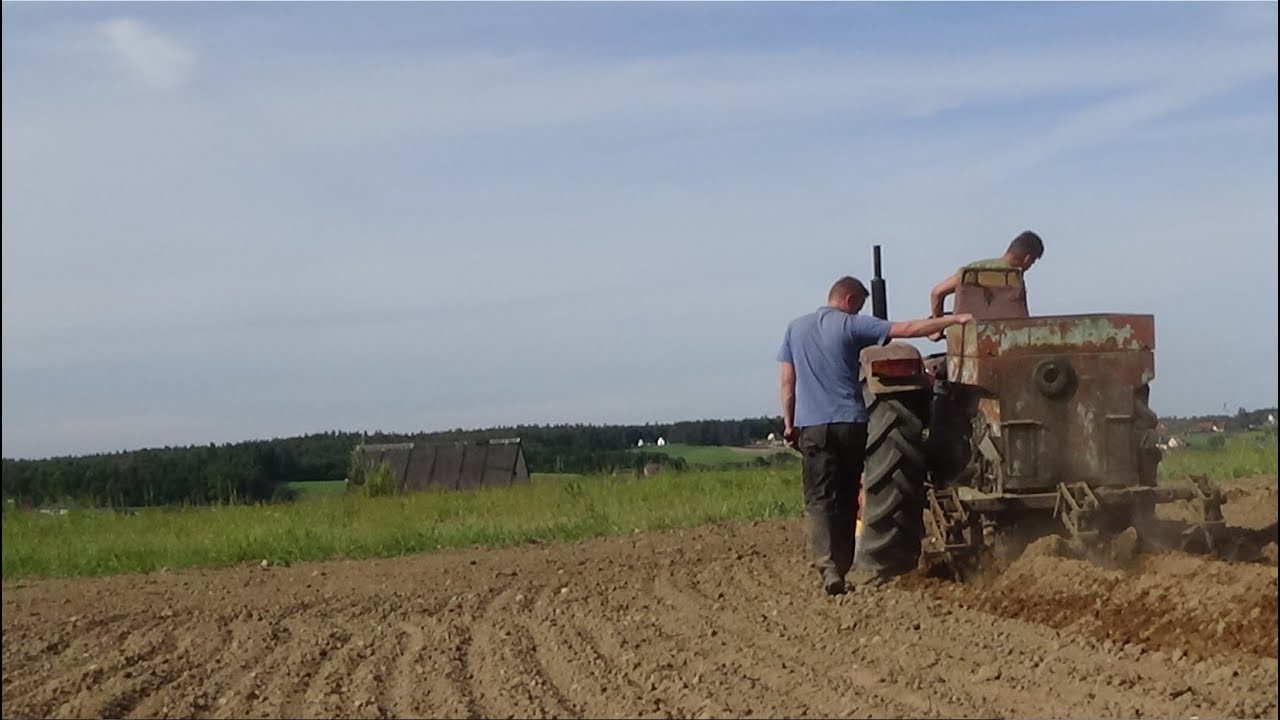 Sadzenie Ziemniaków 2017 ☆ Zetor 3011 & Sadzarka Czeska ㋡