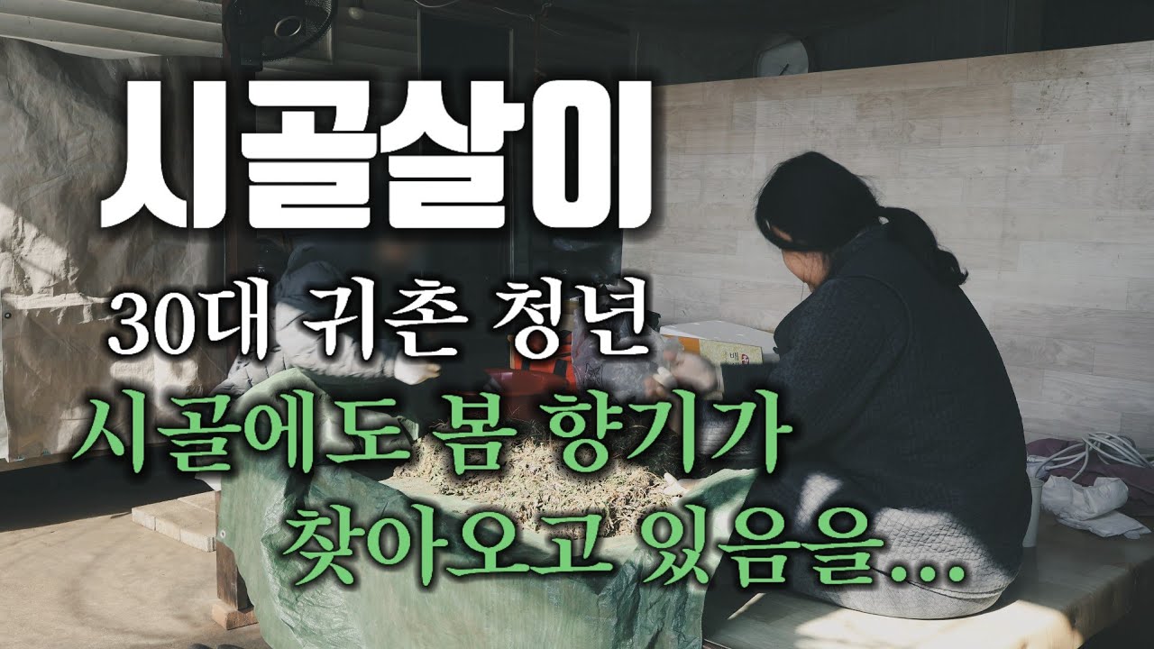 시골에도 봄 향기가 찾아오고 있음을 : 봄 나물 & 냉이 채집 & 냉이 요리 & 냉이전 & 냉이 김밥 & 냉이 초밥 & 냉이 된장 라면 & 시골살이 & 시골 브이로그