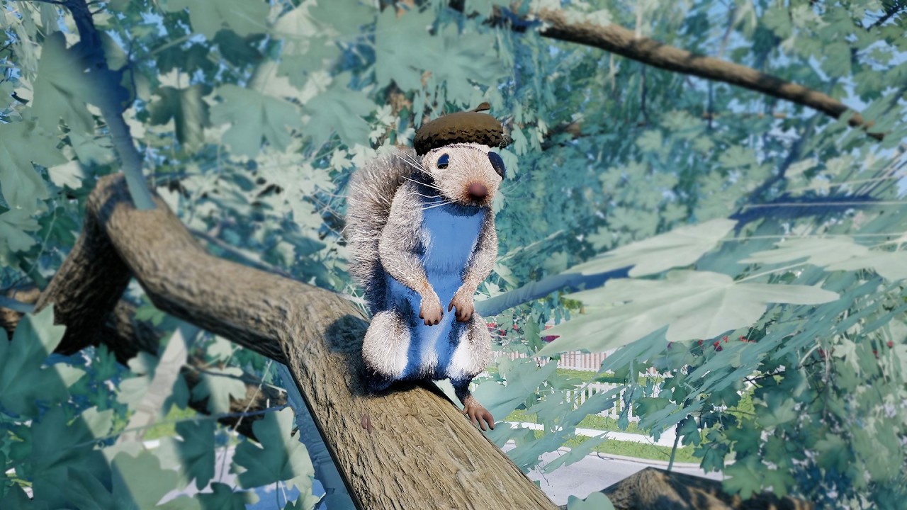 Squirrel with a Gun