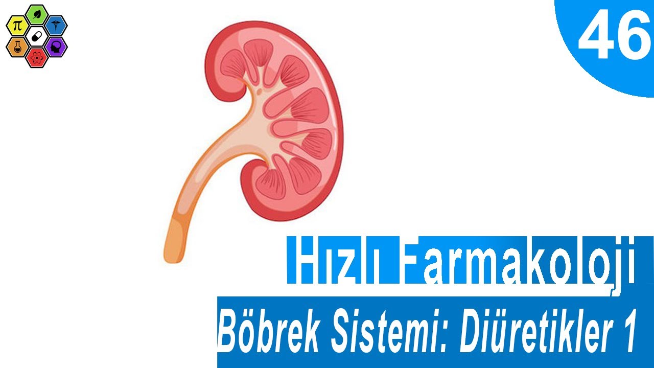BÖBREK SİSTEMİ: DİÜRETİKLER 1 | Hızlı Farmakoloji #46