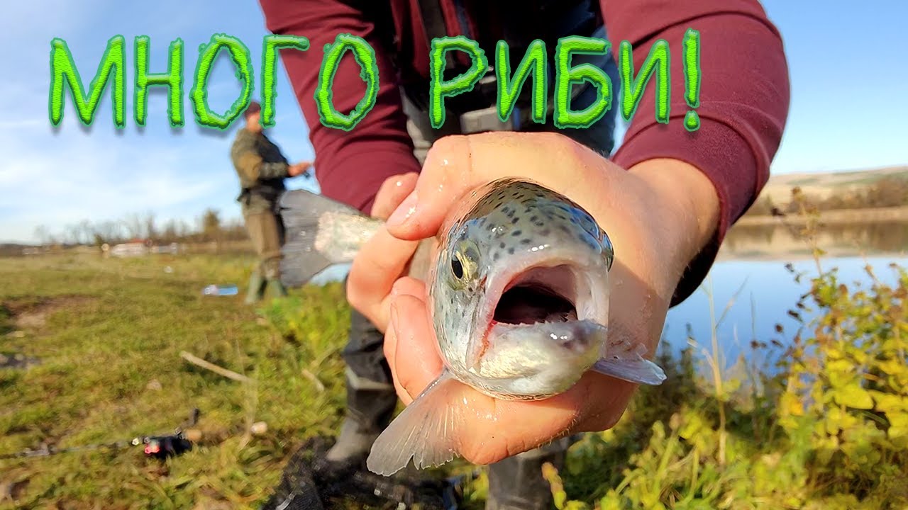 Страхотен УЛТРАЛАЙТ Риболов: Пъстърви, Костури и Сулки.