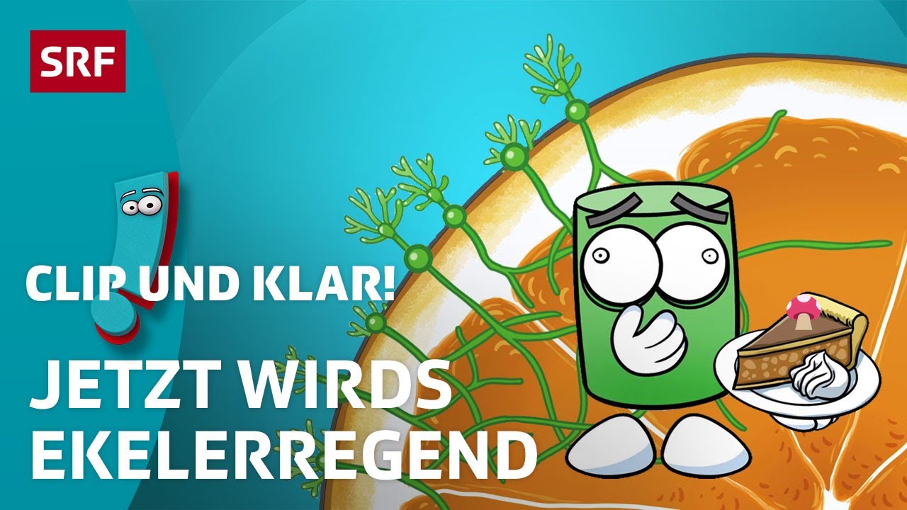 Wie entsteht Schimmel? | SRF Kids – Clip und klar! | Für Kinder erklärt