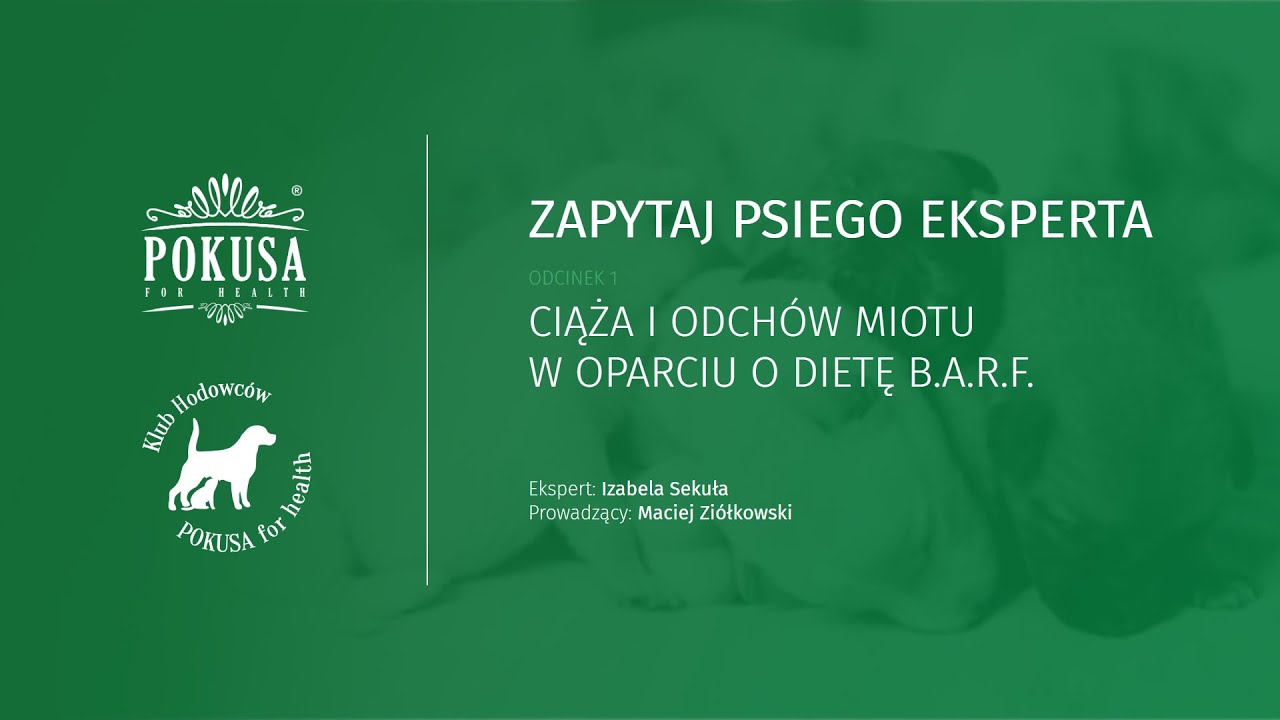 Zapytaj psiego eksperta: ciąża i odchów miotu w oparciu o dietę B.A.R.F. Izabela Sekuła