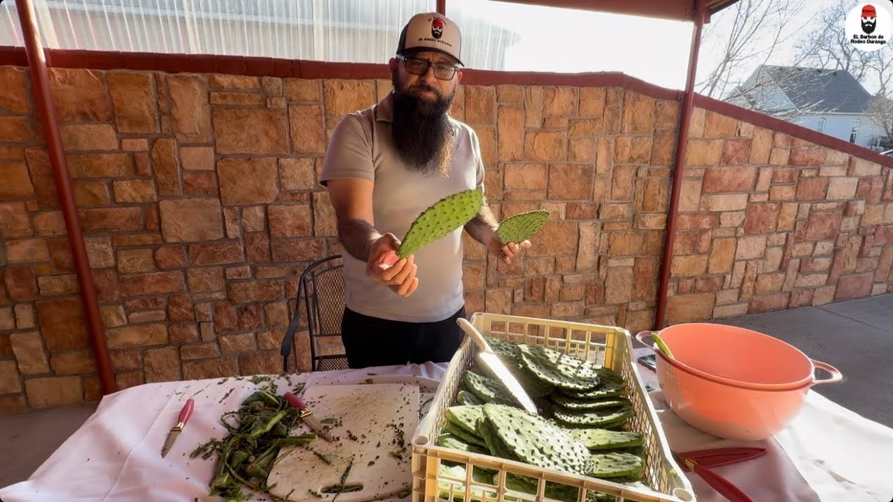 Nopalitos de Zacatecas recién cortados de la huerta para diferentes usos 