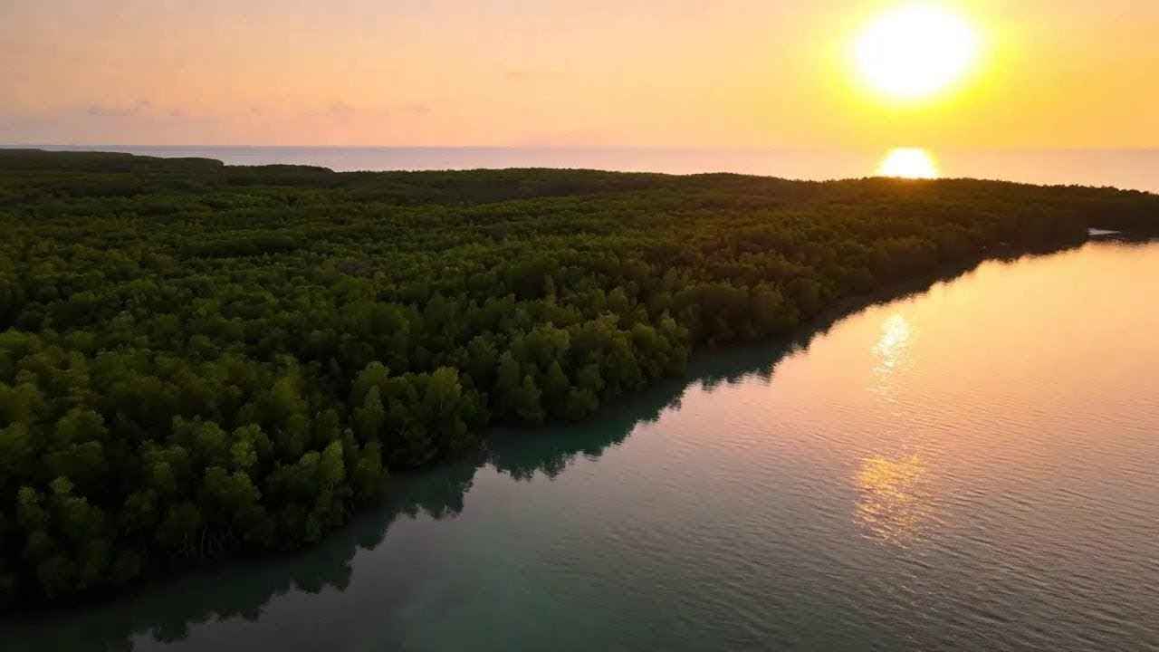 Endless City Lights Deep House Mix &ndash; Chill EDM Stream for Good Energy 🌆✨