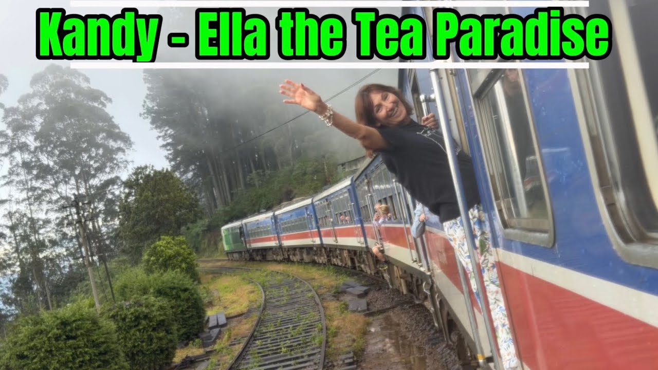 🇱🇰Kandy - Ella arasındaki Çay Cenneti #the #paradise # Ella 