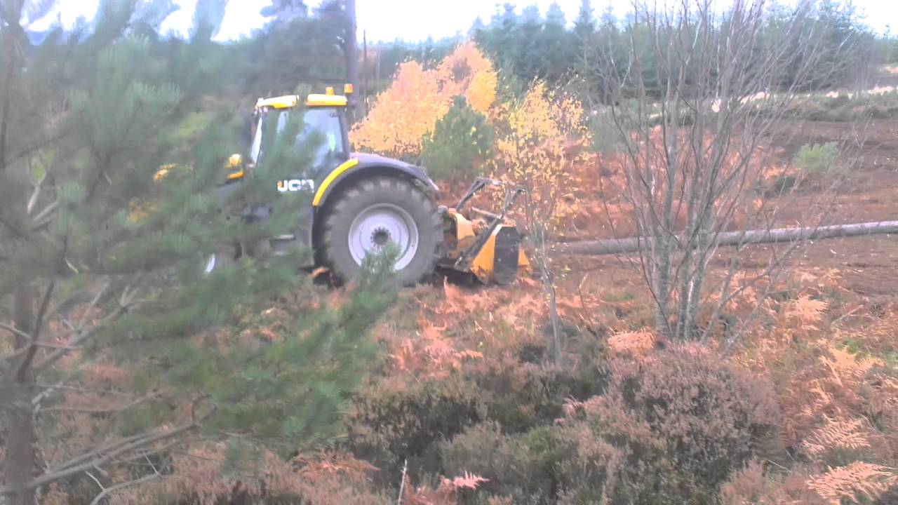 JCB Fastrac 7270 with berti swinging hammer tree mulcher