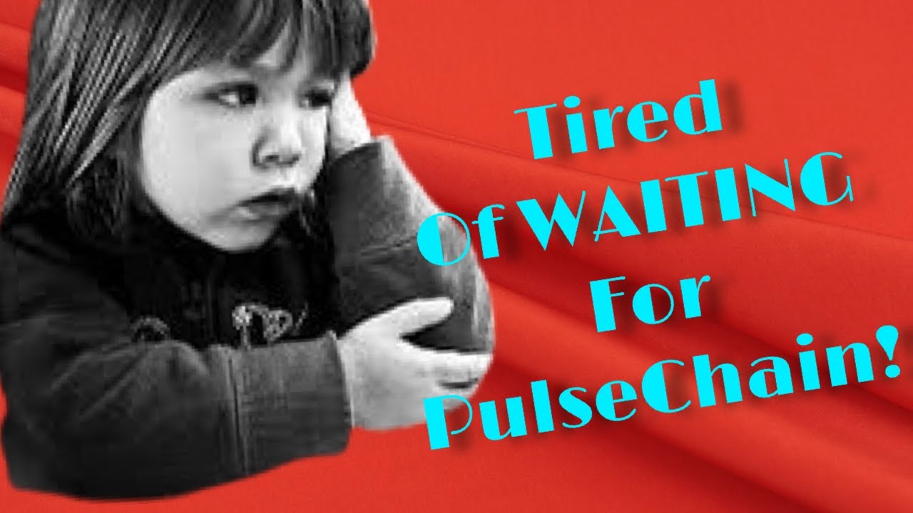 Get MONEY Waiting For PulseChain and PulseX?!? $WAIT Token