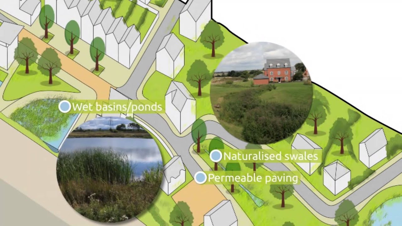Ever wondered where the rain goes? Sustainable drainage animation