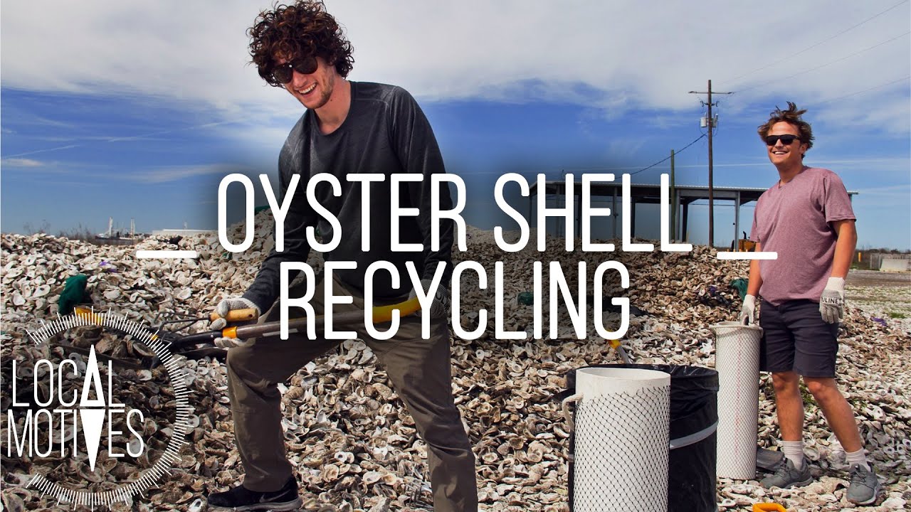 Saving Louisiana’s Coast with Recycled Oyster Shells