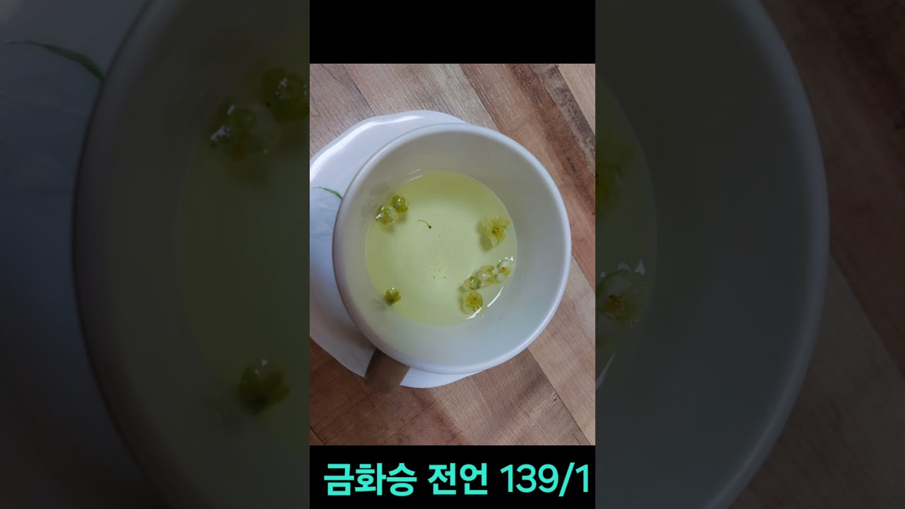 봄 속에서 봄을 찾네,  금화승 전언 139