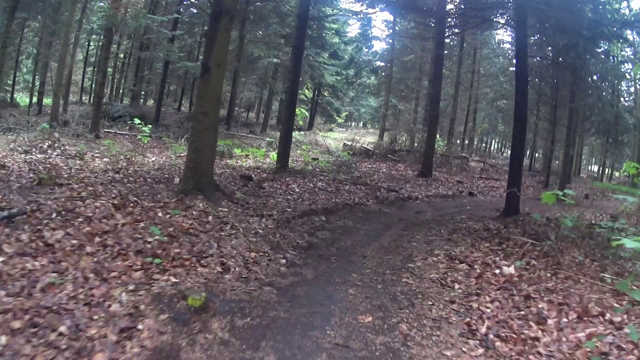 MTB sporet i Dragerup Holbæk