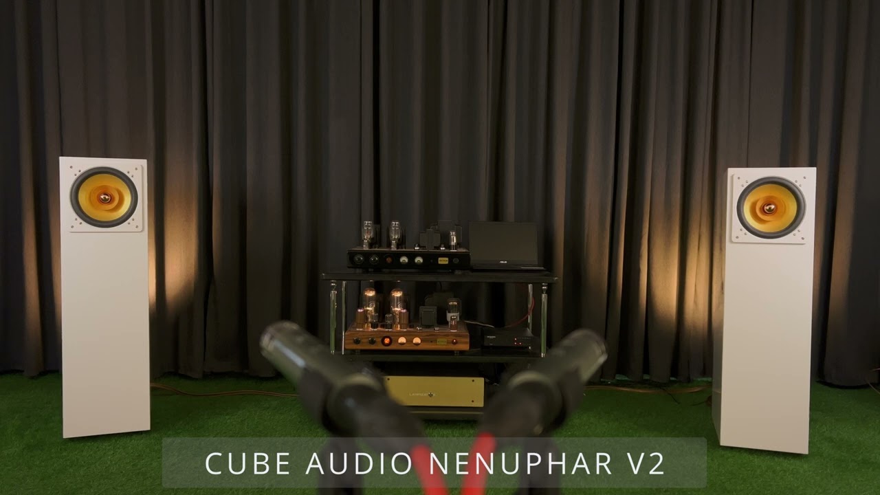 Amazing Fullrange loudspeakers Cube Audio Nenuphar + Tektron 211 SE amplifier + Denafrips Aries