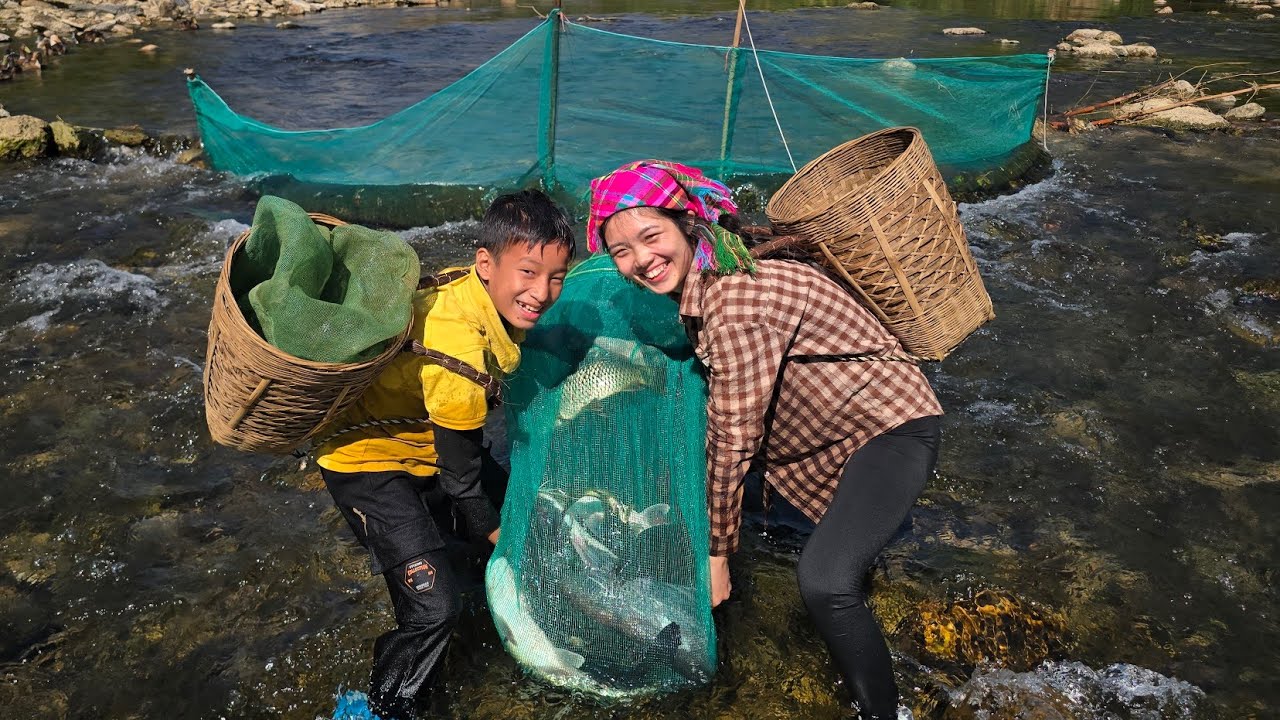 Smart fish trap, Highland boy and beautiful girl set traps to harvest stream fish to sell.