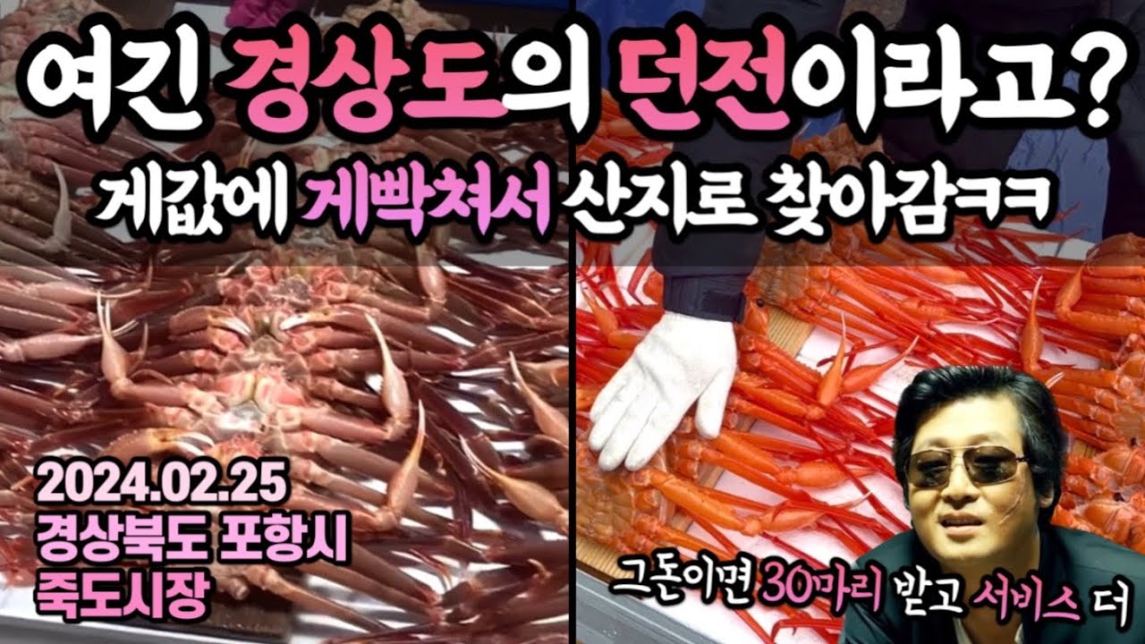 말도안되는 게값에 ‘게’빡쳐서 산지로 찾아갔더니…‘경상도의 던전’이라는 포항 죽도시장 리뷰