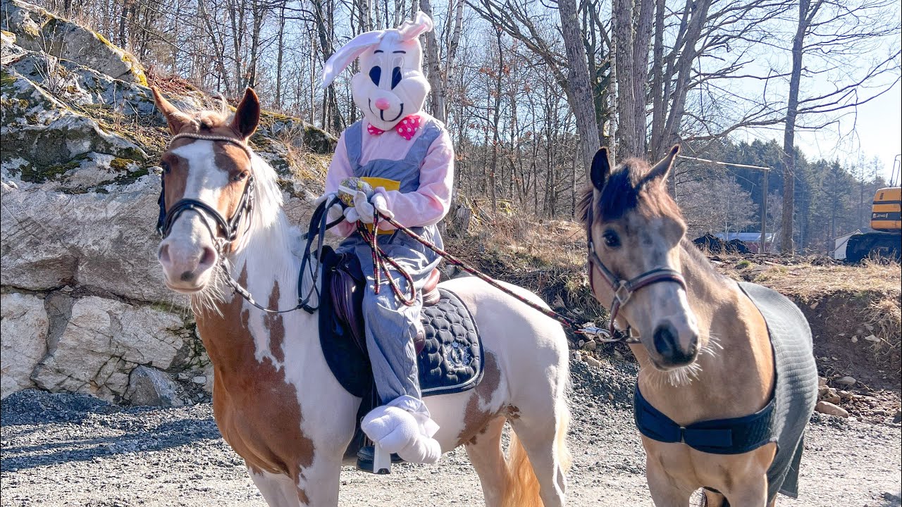 Påskharen rider på dolly xD - VLOGG