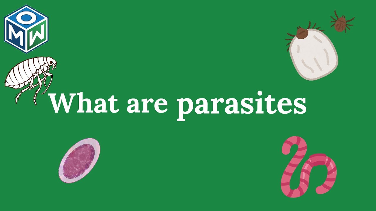 Introduction to parasitology