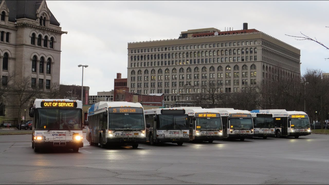 BUSES OF NFTA METRO | DOWNTOWN BUFFALO RUSH HOUR