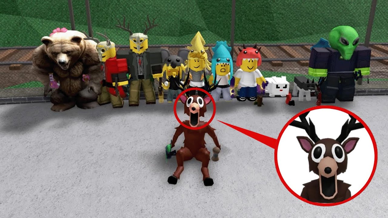 99 Nights in MM2!
