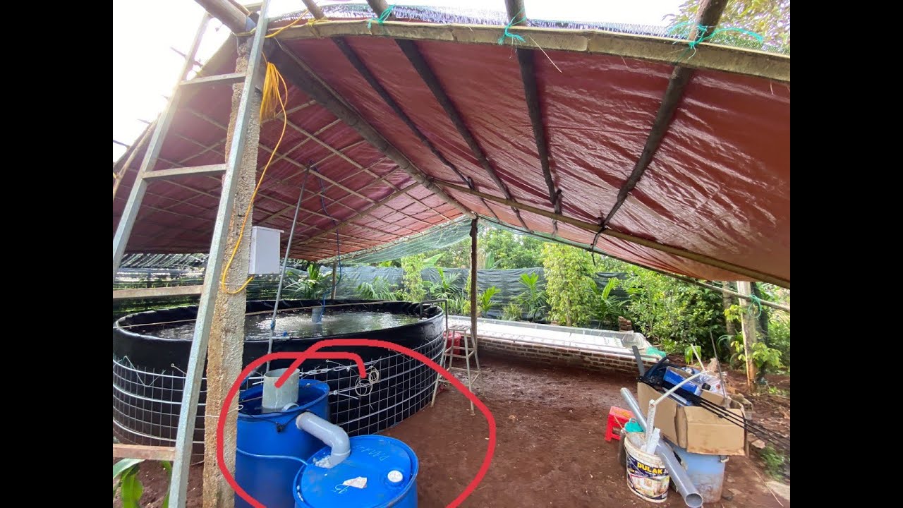 #04 : Đã hoàn thành hệ Aquaponic - Ngâm nước và tạo vi sinh cho toàn hệ