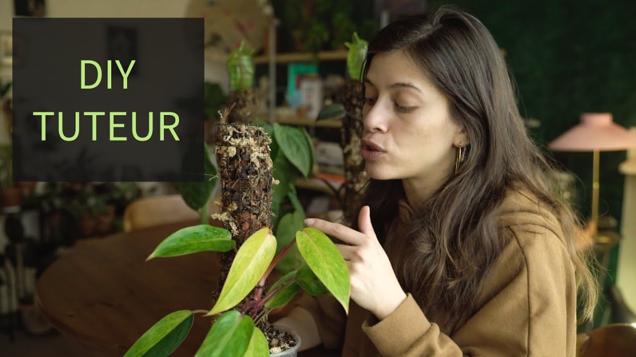 TUTO TUTEUR | FABRICATION DU TUTEUR JUNGLE EDEN POUR LES PLANTES GRIMPANTES | PHILODENDRON SYNGONIUM