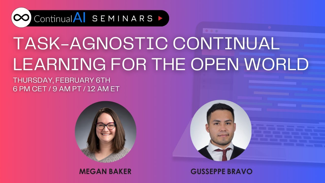 Task-Agnostic Continual Learning for the Open World | ContinualAI Seminar