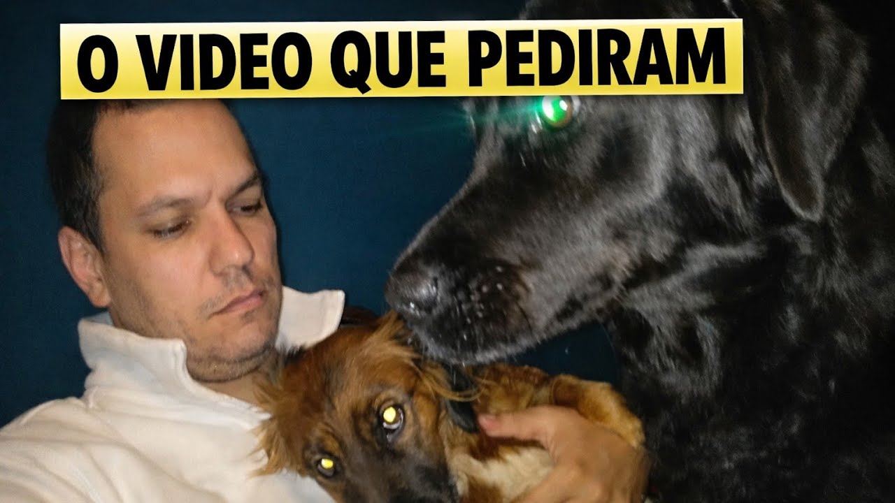 O VIDEO QUE PEDIRAM!!!