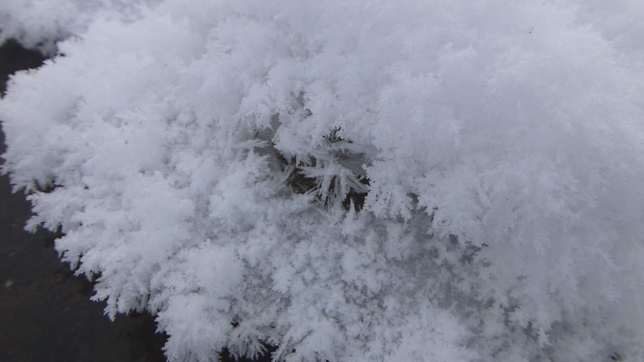 氷上に霜の花出現 北海道旭川市の忠別川